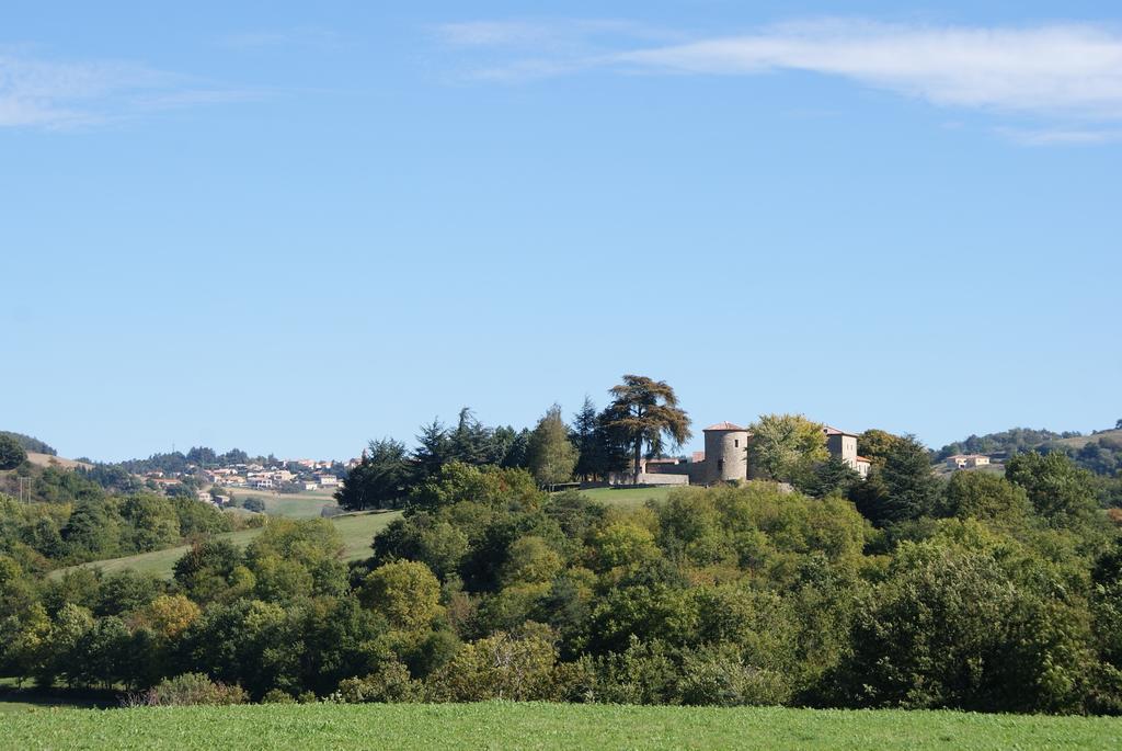 Saint-Romain-de-Lerps Chateau Du Besset المظهر الخارجي الصورة