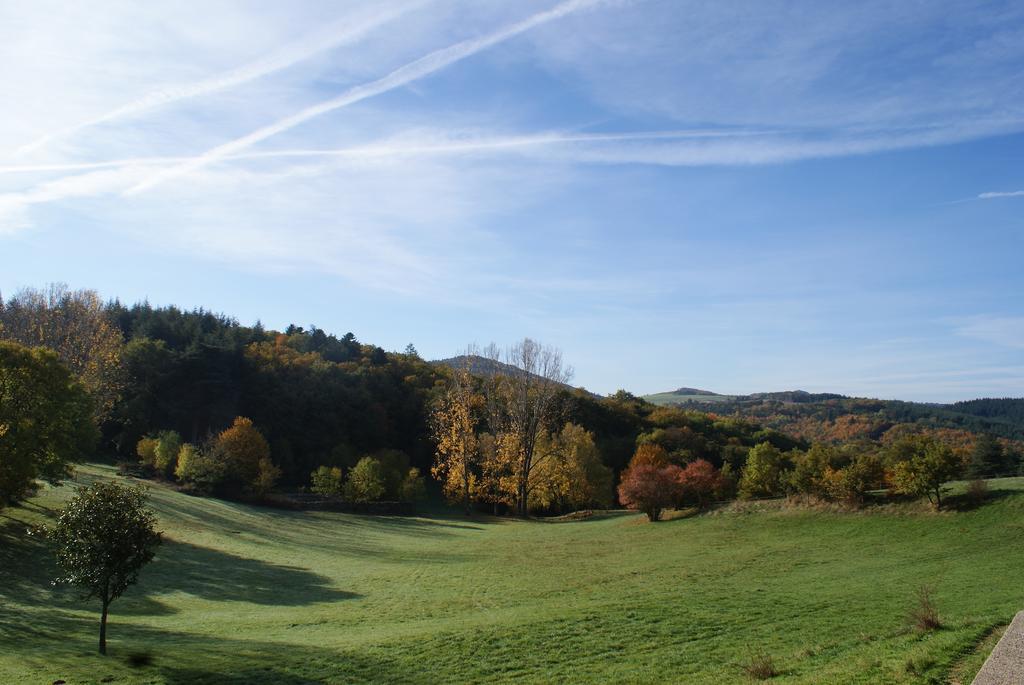 Saint-Romain-de-Lerps Chateau Du Besset المظهر الخارجي الصورة
